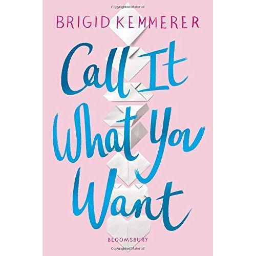 Brigid Kemmerer 3 Books Collecion Set (Letters to the Lost, More Than We Can Tell, Call It What You Want)