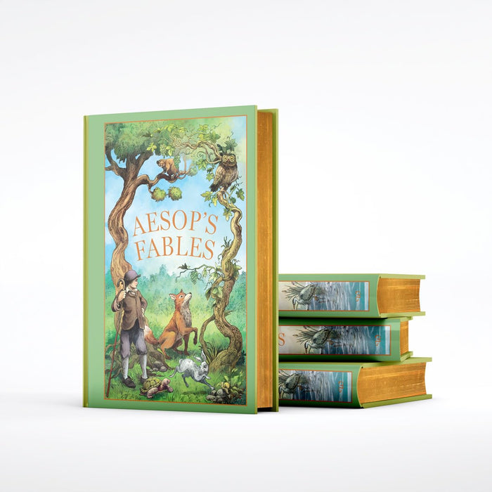 Aesop's Fables (Leather-bound) by Aesop