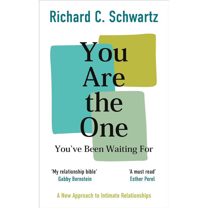 Richard Schwartz 3 Books Set (No Bad Parts, Introduction to Internal Family Systems, You Are the One You’ve Been Waiting For)