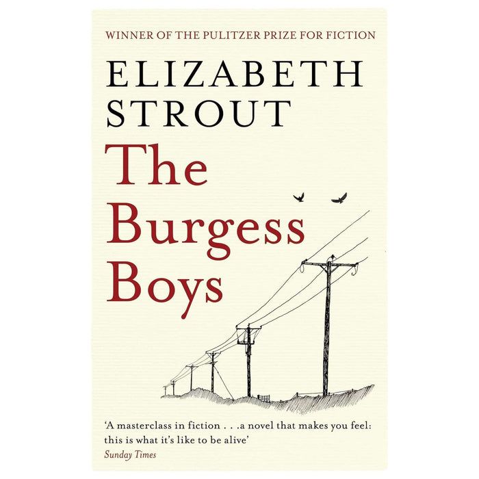 Elizabeth Strout Collection 3 Books Set (Amy & Isabelle, Abide With Me, The Burgess Boys)