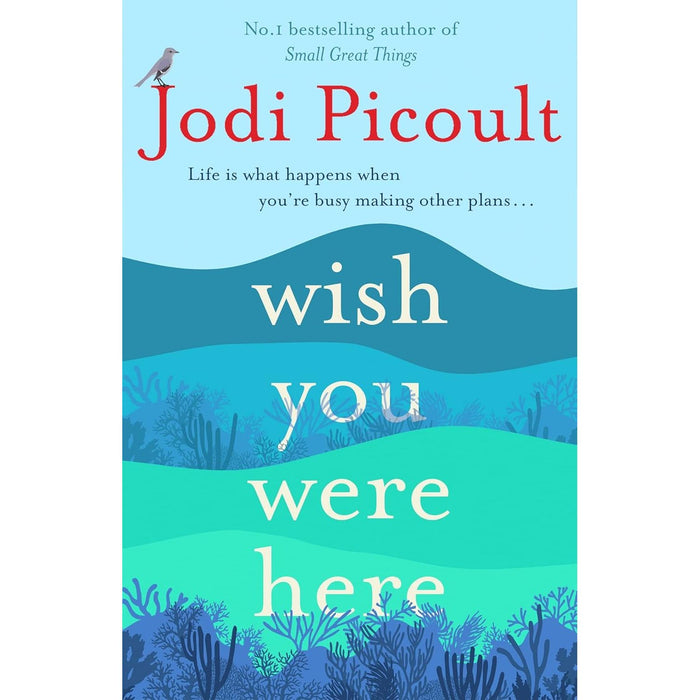 Jodi Picoult 2 Book Set (By Any Other Name, Wish You Were Here)