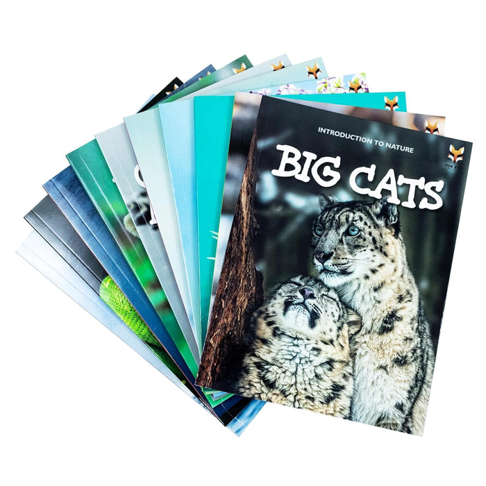 Children Introduction to Nature for Beginners 10 Book Collection Set: (Bears, Big Cats, Birds,)