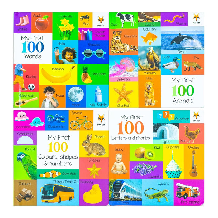 My First 100 Box set 4 books set (My first 100 words, 100 Animals, 100 Colours-shapes-numbers, 100 letters& phonics)