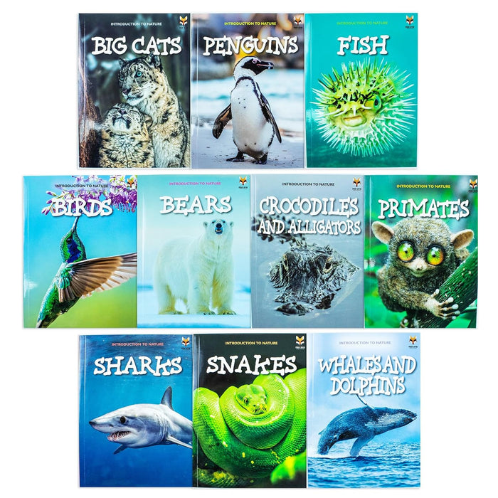 Children Introduction to Nature for Beginners 10 Book Collection Set: (Bears, Big Cats, Birds,)