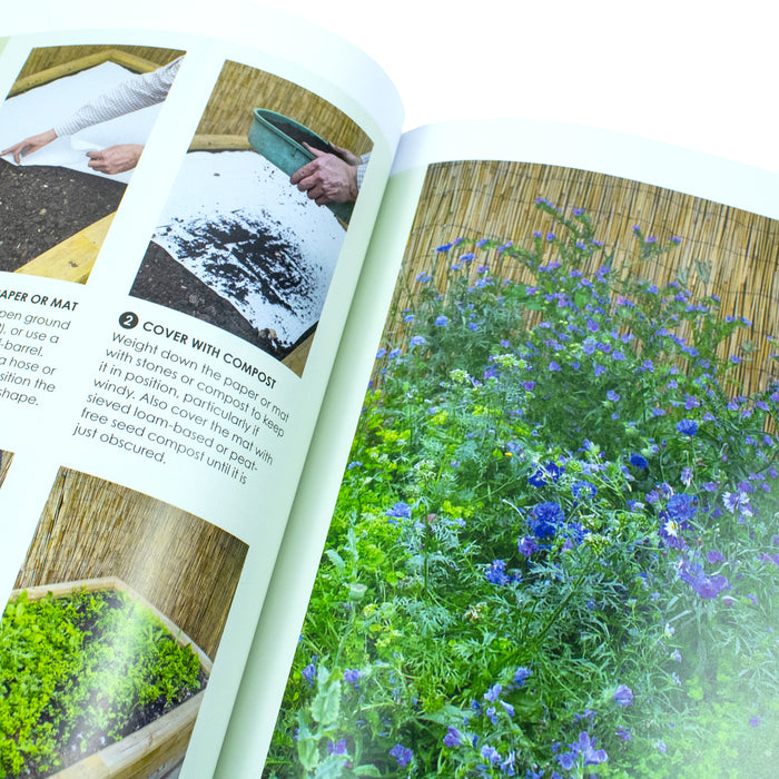 New Wild Garden: Natural-style planting and practicalities