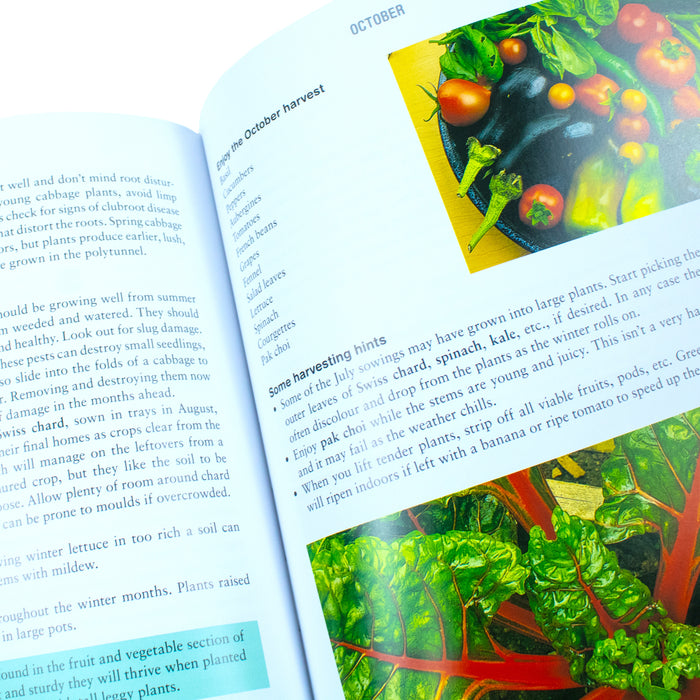 The Polytunnel Book: Fruit and Vegetables All Year Round by Joyce Russell and Ben Russell