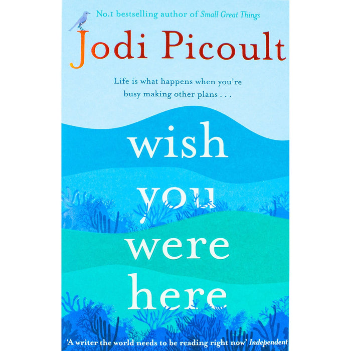 Jodi Picoult Collection 4 Books Set (The Book of Two Ways, Wish You Were Here, Mad Honey & My Sister's Keeper)