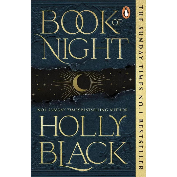 Holly Black Collection 2 Books Set (Darkest Part of the Forest, Book of Night)