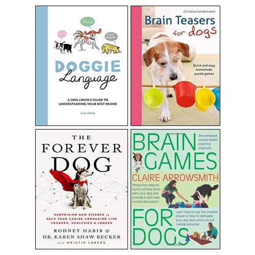 Brain Teasers for Dogs: Quick and Easy Homemade Puzzle Games [Book]