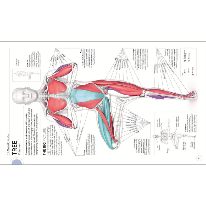 Science of Yoga: Understand the Anatomy and Physiology to Perfect your Practice - The Book Bundle