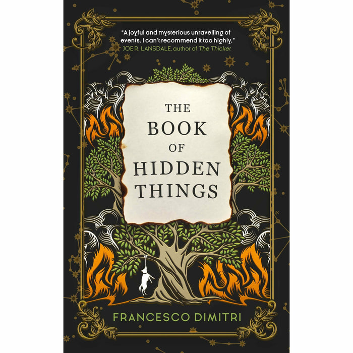 The Book of Hidden Things By Francesco Dimitri Paperback NEW - The Book Bundle